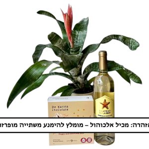 מארז אכימאה חגיגי